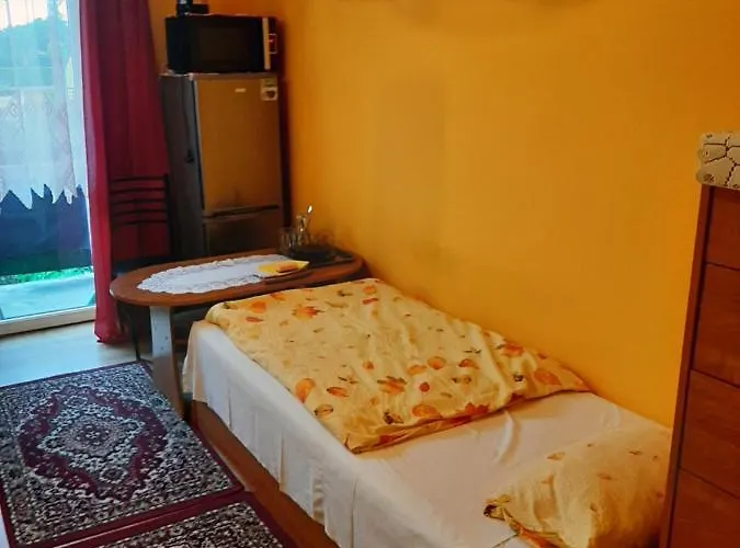 Goscinne Centrum * Władysławowo